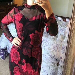 Long Sleeve Fall Enfocus Studio Black Dress with Red roses Size 6